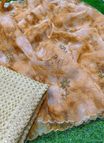 Load image into Gallery viewer, Lovely Shibori Design Organza Saree in Handwork