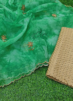 Load image into Gallery viewer, Lovely Shibori Design Organza Saree in Handwork