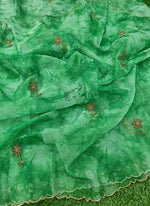 Load image into Gallery viewer, Lovely Shibori Design Organza Saree in Handwork