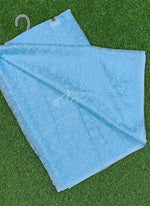 Load image into Gallery viewer, Authentic Garden Vareli Lock Chiffon Brasso Saree