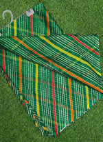 Load image into Gallery viewer, Latest Garden Vareli Printed Nara Chiffon Saree