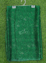 Load image into Gallery viewer, Garden Vareli Printed Nara Chiffon Saree