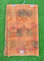 Load image into Gallery viewer, Lovely Digital Print Organza Saree