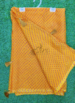 Load image into Gallery viewer, Beautiful Printed Chiffon Saree in Self Lines Texture