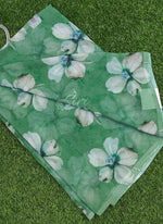 Load image into Gallery viewer, Beautiful Digital Print Soft Siri Chiffon Saree