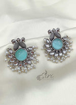 Load image into Gallery viewer, Beautiful Peacock Design Earrings