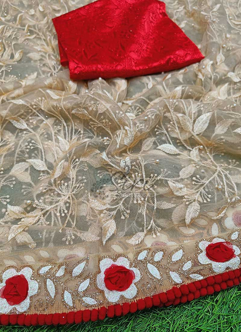Beautiful Net Saree in Designer Embroidery Work