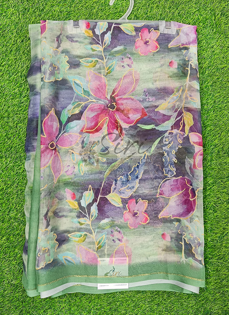 Beautiful Digital Print Chiffon Saree