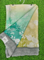 Load image into Gallery viewer, Lovely Shaded Digital Print Satin Saree
