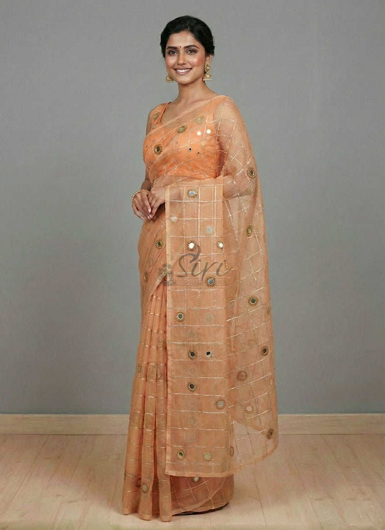 Lovely Organza Saree in Hand Mirror Work