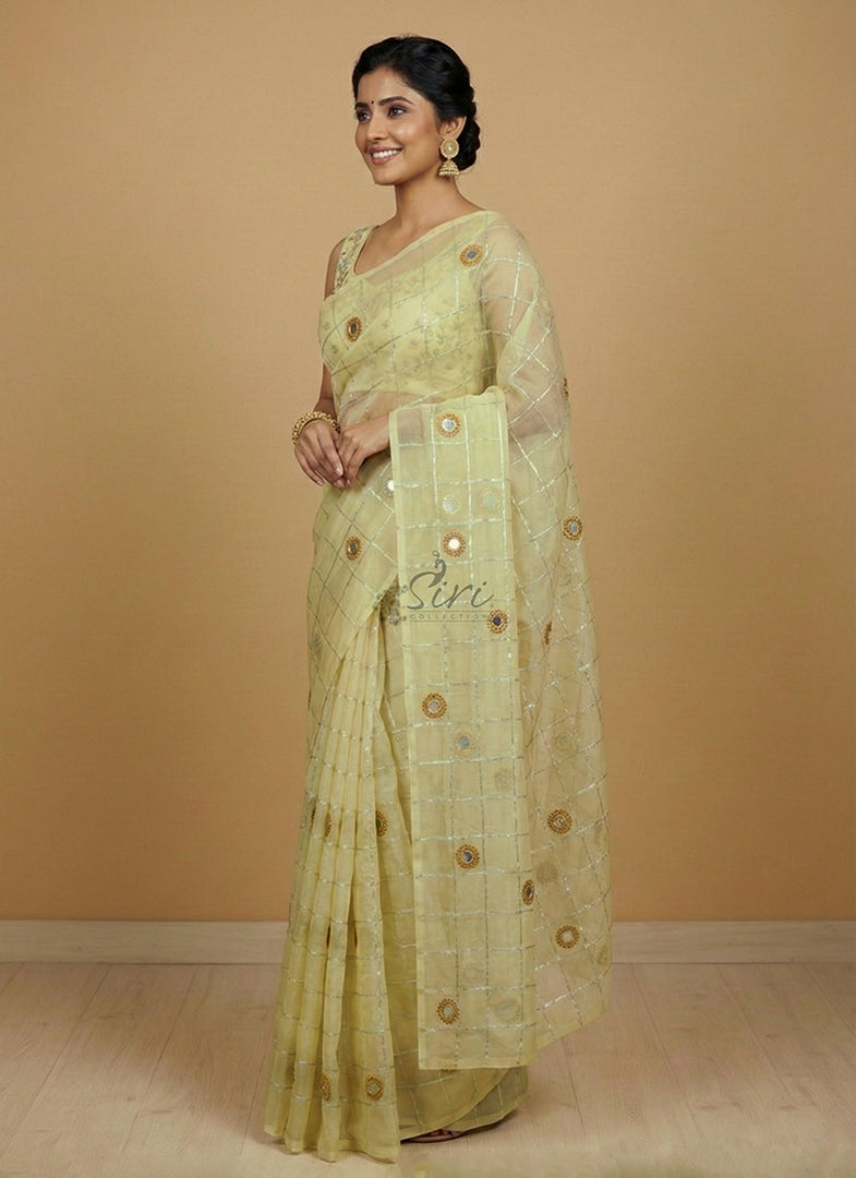 Lovely Organza Saree in Hand Mirror Work