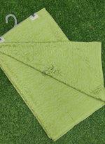 Load image into Gallery viewer, Authentic Garden Vareli Lock Chiffon Brasso Saree
