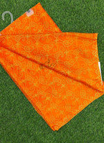 Load image into Gallery viewer, Latest Garden Vareli Printed Nara Chiffon Saree
