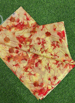 Load image into Gallery viewer, High Quality Garden Vareli Printed Nara Chiffon Saree