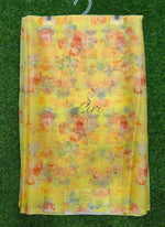 Load image into Gallery viewer, Light Weight Garden Vareli Printed Nara Chiffon Saree