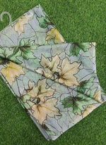 Load image into Gallery viewer, Light Weight Garden Vareli Printed Nara Chiffon Saree