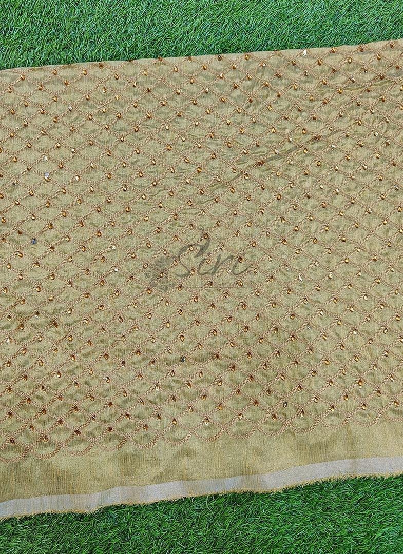 Lovely Fancy Raw Silk Tissue Fabric in Embroidery Work