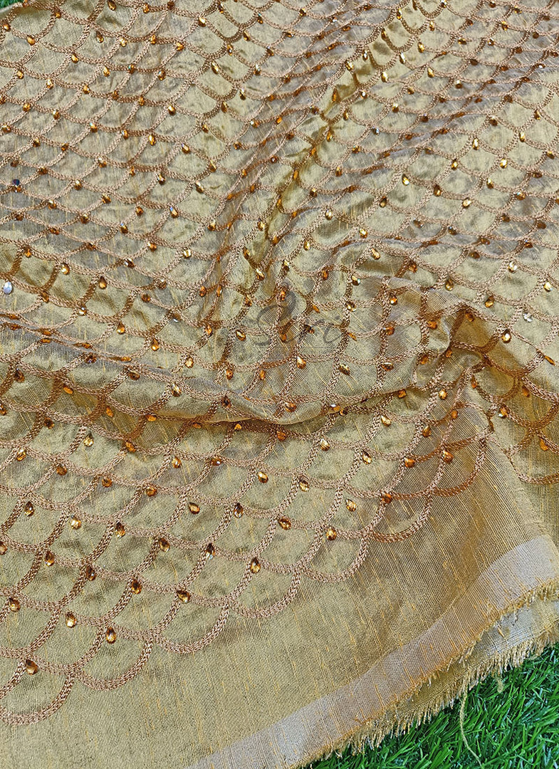 Lovely Fancy Raw Silk Tissue Fabric in Embroidery Work