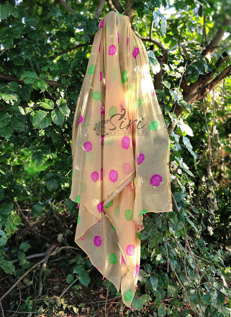 Lovely Printed Chiffon Dupatta